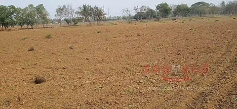 விதைத்து 1 மாதமாகியும் நெல் முளைக்காததால் விவசாயிகள் வேதனை