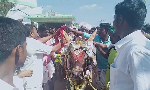 இறந்த கோவில் காளைக்கு கிராம மக்கள் அஞ்சலி