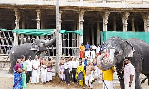 வைகுண்ட ஏகாதசி விழாவை முன்னிட்டு ஸ்ரீரங்கம் ரெங்கநாதர் கோவிலில் பந்தல் கால் நடும் நிகழ்ச்சி