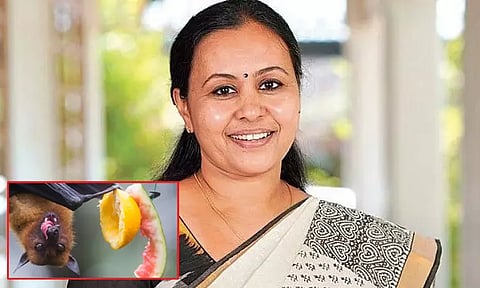 பழ வவ்வால்களில் நிபா வைரஸ்; கேரள அரசிடம் உறுதிப்படுத்திய ஐ.சி.எம்.ஆர்.