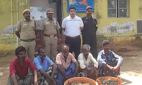 50 கிலோ கடல் அட்டைகளுடன் 5 பேர் கைது