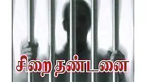 நகை திருடிய வாலிபருக்கு 2 ஆண்டுகள் சிறை தண்டனை