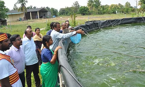 மீன் வளர்ப்பு குறித்து கலெக்டர் ஆய்வு