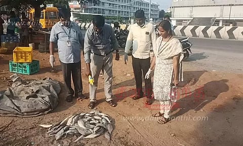 நெல்லை கடைகளில் உணவு பாதுகாப்பு துறையினர் திடீர் ஆய்வு