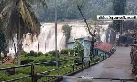 குமரி மாவட்டத்தில் தொடர் கனமழை; திற்பரப்பு அருவியில் 4-வது நாளாக சுற்றுலா பயணிகளுக்கு தடை