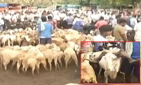 களைகட்டியது குந்தாரப்பள்ளி சந்தை: ஒரே நாளில் ரூ.7 கோடிக்கு ஆடுகள் விற்பனை