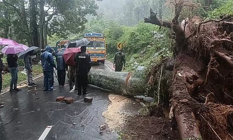 கோத்தகிரி பகுதியில் பலத்த மழை: 300 மீட்டர் சாலை வெள்ளத்தில் அடித்துச் செல்லப்பட்டதால் 10-க்கும் மேற்பட்ட கிராமங்களுக்கு போக்குவரத்து துண்டிப்பு