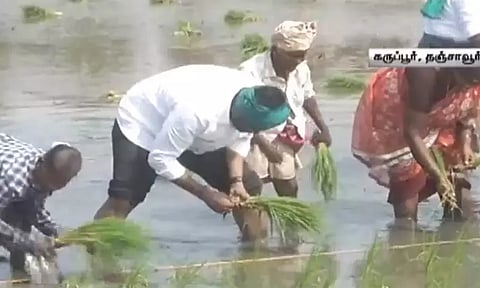 விவசாயிகளுடன் சேர்ந்து வயலில் இறங்கி நாற்று நட்ட பாஜக தலைவர் அண்ணாமலை..!