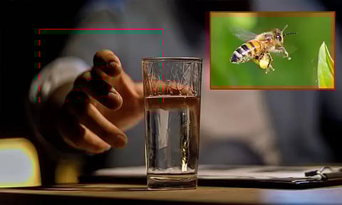 தண்ணீரில் கண்டம்... ஆளை காலி செய்த தேனீ; இப்படி எல்லாம் நடக்குது...!!