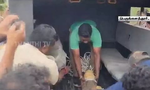 சென்னையில் மழையின்போது சாலையில் தென்பட்ட முதலை பிடிபட்டது..!