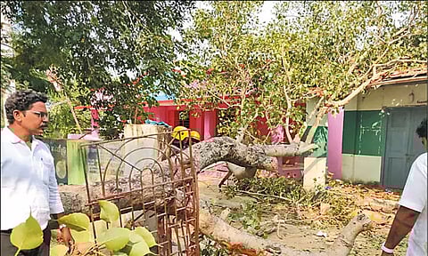 பள்ளி மேற்கூரை மீது மரம் விழுந்ததில் மாணவிகள் காயம்