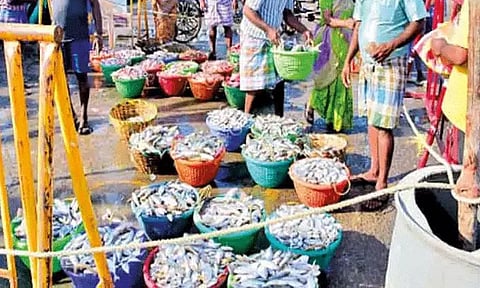 வார விடுமுறையையொட்டி, காசிமேட்டில் குவிந்த மீன் பிரியர்கள்