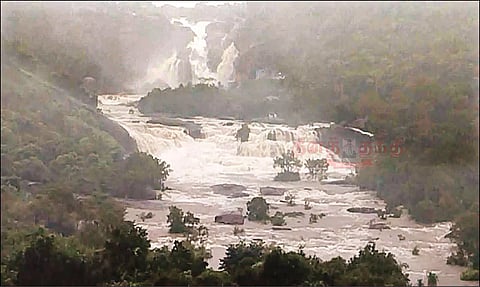 தாமிரபரணியில் வெள்ளப்பெருக்கு: பாதுகாப்பான இடங்களுக்கு செல்லுமாறு கரையோர மக்களுக்கு எச்சரிக்கை