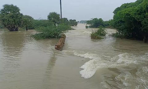 பொதுமக்கள் ஆறு மற்றும் நீர்நிலைகளில் குளிக்க செல்ல வேண்டாம்-தென்காசி மாவட்ட கலெக்டர் வேண்டுகோள்