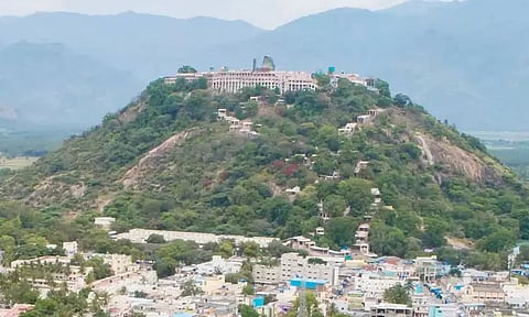 பழனி முருகன் கோவிலில் உண்டியல் காணிக்கை ரூ.2¼ கோடி