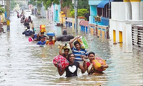 நெல்லையில் மழை வெள்ள பாதிப்பு.. கிராமம் வாரியாக கணக்கெடுப்பு பணி -கலெக்டர் தகவல்