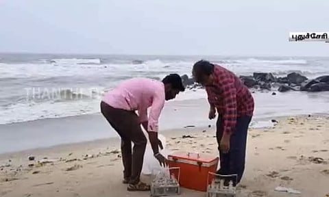 புதுச்சேரியில் நிறம் மாறிய கடல் நீர் - மாசு கட்டுப்பாட்டு வாரிய அதிகாரிகள் ஆய்வு