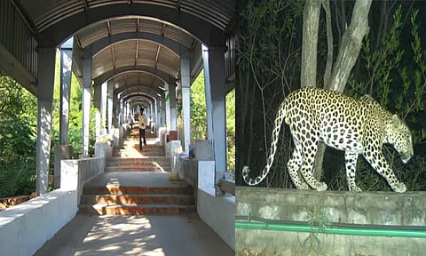 கோப்புப்படம்