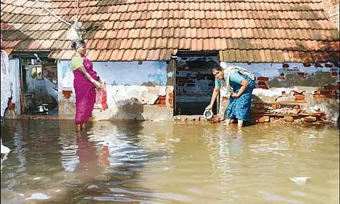 நெல்லையில் வெள்ளத்தின்போது பாம்பு கடித்து ஒருவர் பலி: 14 பேருக்கு சிகிச்சை