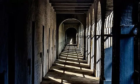  Representational - Image