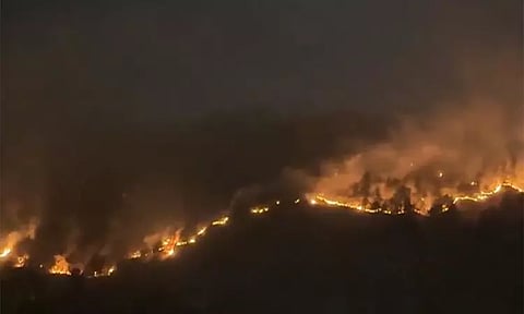 இமாச்சல பிரதேசத்தில் வேகமாக பரவும் காட்டுத்தீ