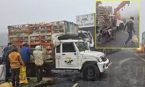 நெடுஞ்சாலையில் விபத்துக்குள்ளான வாகனம் - கறிக்கோழிகளை தூக்கிச்சென்ற மக்கள்