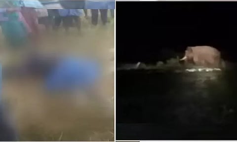 சத்தியமங்கலம்: காட்டுயானை தாக்கி விவசாயி உயிரிழப்பு