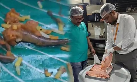 ஆர்டர் செய்த மீன் பிரியாணியில் பல்லியின் வால்? உணவு பாதுகாப்புத்துறை அதிகாரிகள் விசாரணை