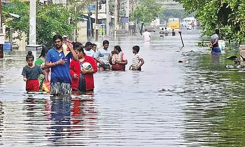நெல்லை மாவட்டத்தில் 92 சதவீத நிவாரண தொகை வழங்கப்பட்டுள்ளது: கலெக்டர் தகவல்