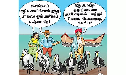 படகுகள் சீரமைப்பு; பறவைகள் மீட்பு!