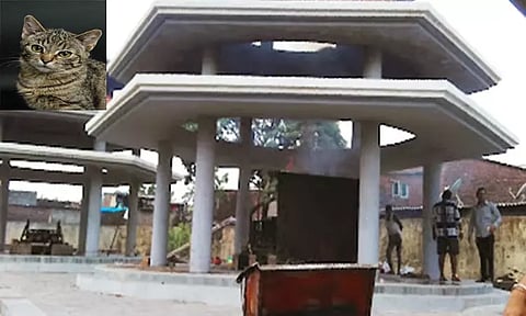 மராட்டியத்தில் பொது மயானக்கூடத்தில் பூனைக்கு இறுதி சடங்கு: 6 பேர் மீது போலீஸ் வழக்குப் பதிவு