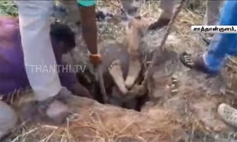 ஆழ்துளை கிணற்றுக்குள் விழுந்த ஆடு... தலைகீழாக உள்ளே சென்று காப்பாற்றிய வீரர் - குவியும் பாராட்டு