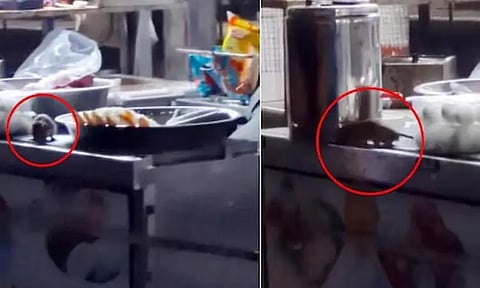 ரெயில் பயணிகளின் உணவை ருசிபார்த்த எலி - வீடியோ வைரல்