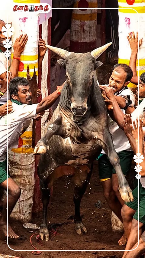 'சீறிப்  பாயும் காளைகள்...அடக்க முயற்சிக்கும் வீரர்கள்...' 
பாரம்பரிய தமிழர் வீர விளையாட்டான ஜல்லிக்கட்டு நடைபெறும் இடங்கள்...!