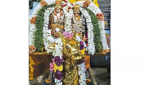 காஞ்சீபுரம் சித்தீஸ்வரர் கோவிலில் தங்க முலாம் பூசப்பட்ட நந்தி: பக்தர்கள் தரிசனம்