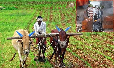 சங்க இலக்கியங்கள் போற்றும் தை மாதம்