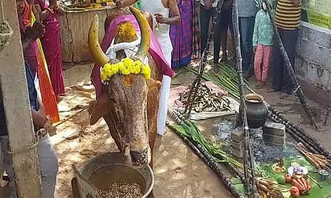 கோப்புப்படம் 