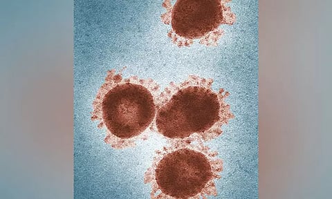 பேரழிவை ஏற்படுத்தலாம்.. பனிப்பாறைகளுக்குள் புதைந்து இருக்கும் ஆபத்து: விஞ்ஞானிகள் எச்சரிக்கை