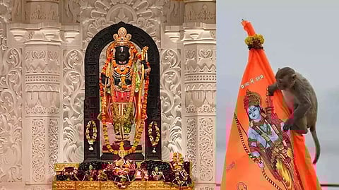 ராமர் கோவில் கருவறைக்குள் திடீரென புகுந்த குரங்கு...!! அடுத்து நடந்த ஆச்சரியம்