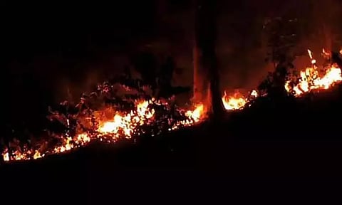 அர்ஜென்டினாவில் உலக பாரம்பரிய சின்னமான லாஸ் அலர்செஸ் தேசிய பூங்காவில் காட்டுத்தீ