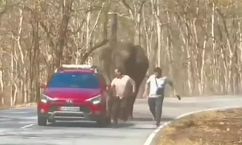 கேரளாவில் காட்டு யானையிடம் இருந்து நூலிழையில் உயிர் தப்பிய சுற்றுலா பயணிகள்