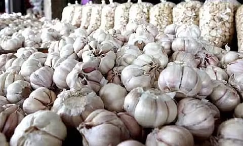 1 கிலோ பூண்டு இவ்வளவு விலையா? குமுறும் இல்லத்தரசிகள்