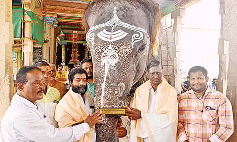 56 வயதிலும் சுறுசுறுப்பு... தமிழ்நாட்டின் சிறந்த யானையாக கும்பகோணம் மங்களம் தேர்வு