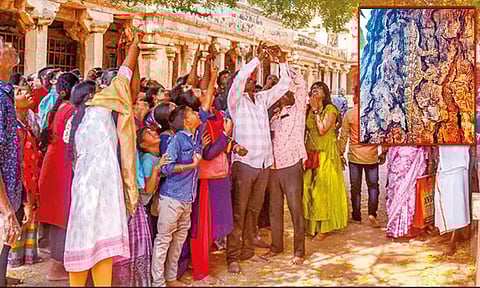 நினைத்த காரியம் கைகூடும் என்ற நம்பிக்கை... வேப்ப மரத்தில் பல்லியை பார்க்க அலைமோதும் கூட்டம்