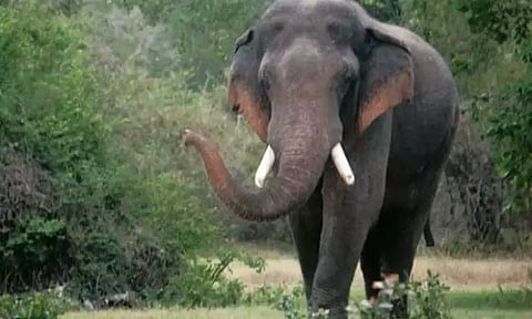 கோப்புப்படம் 