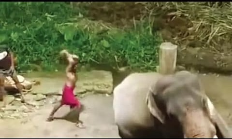 குருவாயூர் கோவிலுக்கு ஜெயலலிதா வழங்கிய யானைக்கு அடி உதை: பாகன்கள் மீது நடவடிக்கை