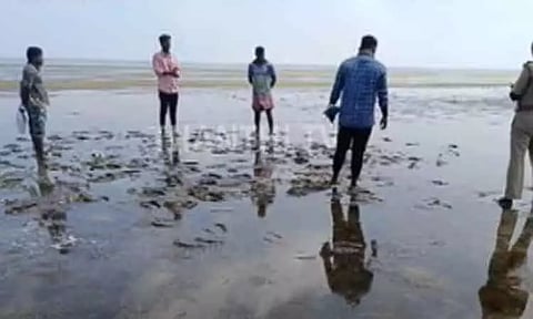 பழவேற்காடு ஏரியில் மர்மமான முறையில் உயிரிழந்து கிடந்த வெளிநாட்டுப் பறவைகள் - வனத்துறையினர் ஆய்வு