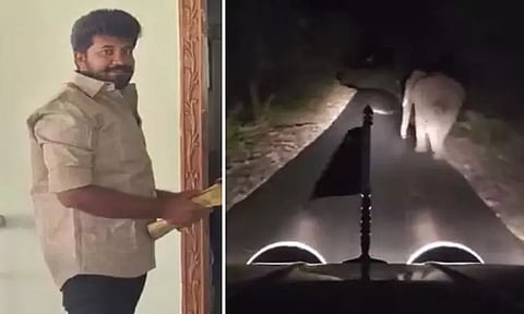 யானையை காரில் விரட்டிய அ.தி.மு.க. பிரமுகருக்கு ரூ.1 லட்சம் அபராதம் விதிப்பு