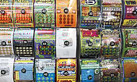 நடை பயிற்சிக்கு சென்றபோது அடித்த அதிர்ஷ்டம்; நாய் கவ்விய லாட்டரி சீட்டுக்கு பரிசு