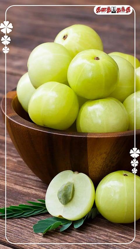 நெல்லிக்காய் சாப்பிடுவதால் ஏற்படும் நன்மைகள்..!